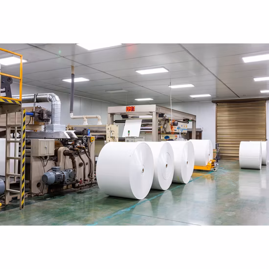 Copo degradável reciclável de fibra de bambu, talheres para jantar, almoço, materiais ecológicos